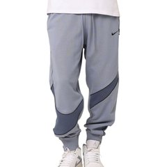 Брюки мужские Nike Swoosh Flc Pant (DX0564-493), L, WHS, 40% - 50%, 1-2 дня