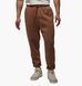 Фотографія Брюки чоловічі Jordan Brooklyn Fleece (FV7277-223) 1 з 6 в Ideal Sport