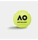 Фотография Теннисный мяч Dunlop ' Australian Open Green (601602) 3 из 3 в Ideal Sport