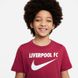 Фотографія Футболка дитяча Nike Liverpool Fc Swoosh (DJ1535-608) 3 з 3 в Ideal Sport