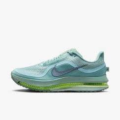 Кросівки чоловічі Nike Pegasus Premium Cannon (HQ2592-009), 40, WHS, 1-2 дні