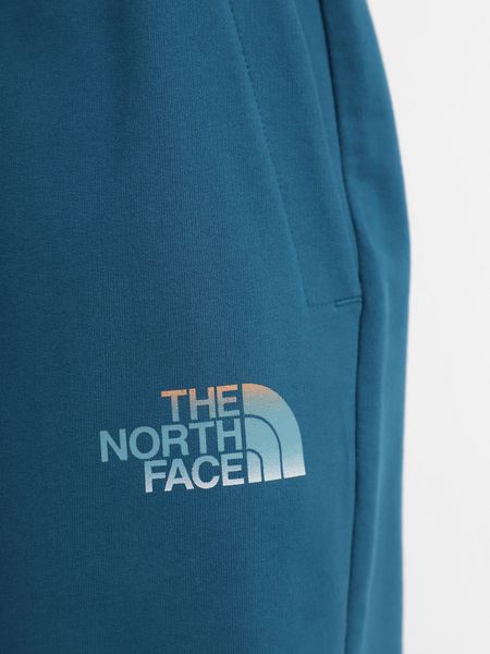 Шорти чоловічі The North Face Graphic (NF0A83FREFS1), S, WHS, 10% - 20%, 1-2 дні