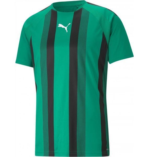 Футболка чоловіча Puma Teamliga Striped Jersey Green (704920-05), M, WHS, 10% - 20%, 1-2 дні