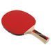 Фотография Ракетка для настольного тенниса Donic Legends 600 (724416) 4 из 7 в Ideal Sport