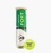 Фотография Теннисный мяч Dunlop Fort All Court Ts 4B Green (601607) 1 из 3 в Ideal Sport