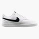 Фотографія Кросівки чоловічі Nike Court Vision Low Next Nature (DH2987-101) 3 з 10 в Ideal Sport