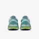 Фотографія Кросівки чоловічі Nike Pegasus Premium Cannon (HQ2592-009) 10 з 12 в Ideal Sport