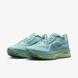 Фотографія Кросівки чоловічі Nike Pegasus Premium Cannon (HQ2592-009) 9 з 12 в Ideal Sport