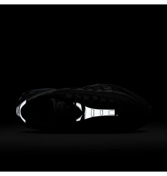 Кросівки чоловічі Nike Air Max 95 Black (HM8755-001), 40, WHS, 1-2 дні