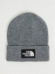 Шапка The North Face Tnf Logo Box Beanie Grey (NF0A3FJXDYY), One Size, WHS, 10% - 20%, 1-2 дні