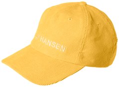 Кепка Helly Hansen Graphic Cap (48146-341), One Size, WHS, 30% - 40%, 1-2 дня