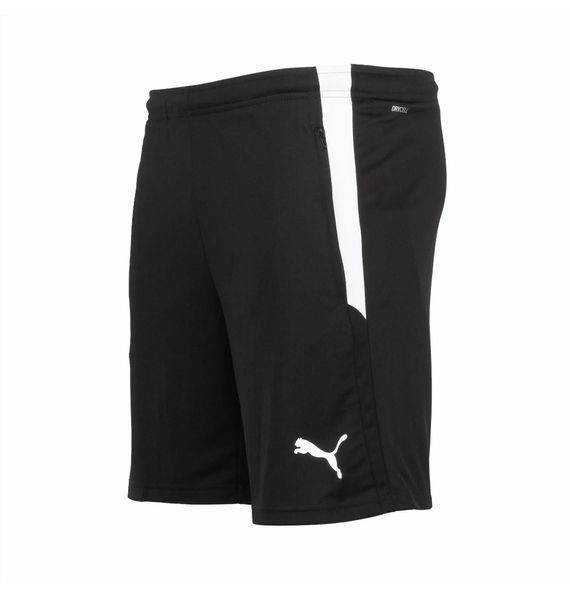 Шорти чоловічі Puma Teamliga Training Shorts Blue (657249-03), S, WHS, < 10%, 1-2 дні