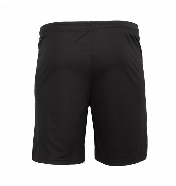Шорти чоловічі Puma Teamliga Training Shorts Blue (657249-03), S, WHS, < 10%, 1-2 дні