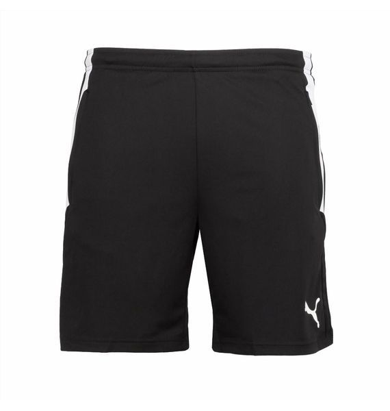 Шорти чоловічі Puma Teamliga Training Shorts Blue (657249-03), S, WHS, < 10%, 1-2 дні