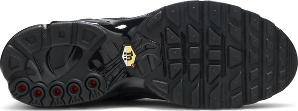 Кросівки чоловічі Nike Air Max Plus Tn 'Triple Black' (AJ2029-001), 44.5, WHS, 20% - 30%, 1-2 дні