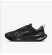 Фотографія Трейлові кросівки для бігу чоловічі Nike Juniper Trail 2 Gore-Tex (FB2067-001) 2 з 7 в Ideal Sport