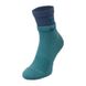 Фотографія Шкарпетки Nike U Nk Everyday Plus Cush Ankle (DH4058-300) 1 з 2 в Ideal Sport