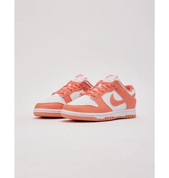 Кросівки жіночі Nike Dunk Low Next Nature (DD1873-109), 38, OFC, > 50%, 1-2 дні
