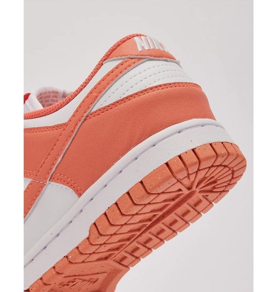 Кросівки жіночі Nike Dunk Low Next Nature (DD1873-109), 38, OFC, > 50%, 1-2 дні