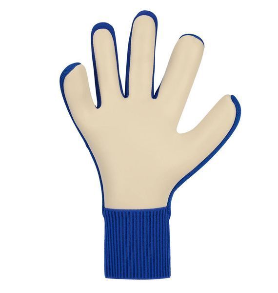 Футбольні рукавиці унісекс Nike Dynamic Fit Soccer Goalkeeper Gloves Blue (IF8194-458), 9, WHS, 30% - 40%, 1-2 дні