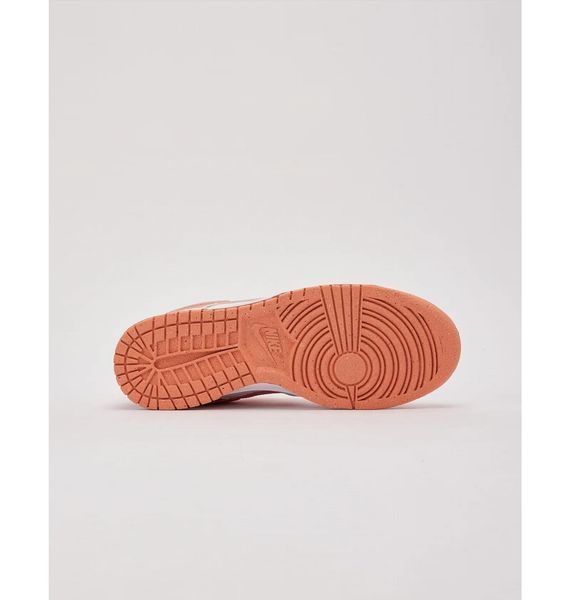 Кросівки жіночі Nike Dunk Low Next Nature (DD1873-109), 38, OFC, > 50%, 1-2 дні