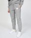 Фотография Брюки женские Jordan Brand Flight Fleece Pants (CV7795-063) 1 из 5 в Ideal Sport