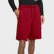 Фотографія Шорти чоловічі Jordan Jumpman Air Fleece Shorts (CK6707-687) 1 з 4 в Ideal Sport