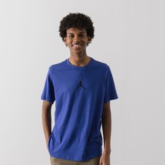 Футболка чоловіча Jordan Centred Logo T-Shirt (CW5190-430), S, WHS, < 10%, 1-2 дні