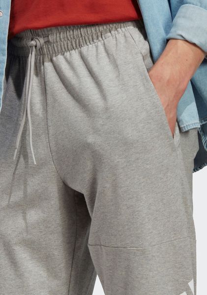 Брюки чоловічі Adidas Essential (IC9429), L, WHS, 1-2 дні