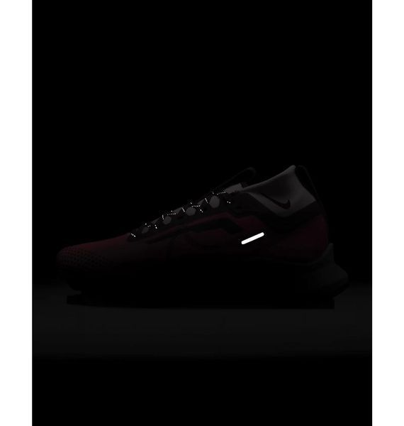 Кросівки для бігу жіночі Nike Pegasus Trail 4 Gore-Tex (FN7769-600), 35.5, WHS, < 10%, 1-2 дні
