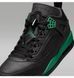 Фотографія Кросівки чоловічі Jordan Spizike Low Celtics (FQ1759-003) 9 з 10 в Ideal Sport