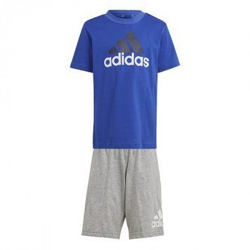 Спортивный костюм детской Adidas Essentials Logo Tee And Short Set (IS2470), 110 CM, WHS, 1-2 дня