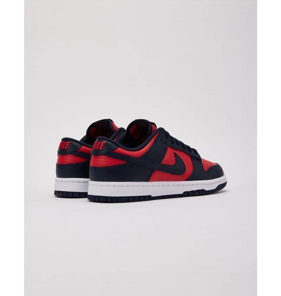 Кросівки чоловічі Nike Dunk Low Retro (DV0833-601), 42, WHS, 30% - 40%, 1-2 дні