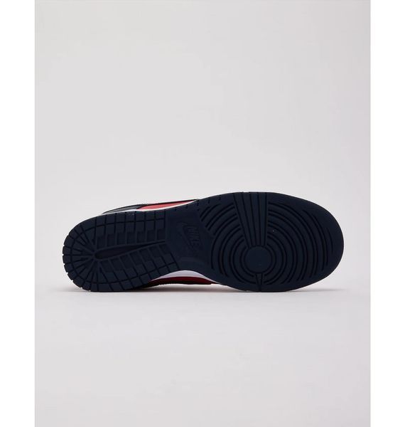 Кросівки чоловічі Nike Dunk Low Retro (DV0833-601), 42, WHS, 30% - 40%, 1-2 дні