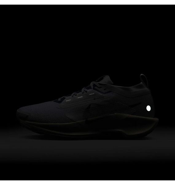 Кроссовки мужские Nike Pegasus Trail 5 Gtx (FQ0908-006), 40, WHS, > 50%, 1-2 дня