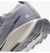 Фотография Кроссовки мужские Nike Pegasus Trail 5 Gtx (FQ0908-006) 9 из 12 в Ideal Sport