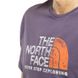 Фотография Футболка мужская The North Face Rust 2 (NF0A4M68IWA1) 3 из 4 в Ideal Sport