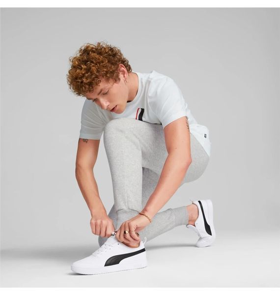 Брюки мужские Puma Essentials+ 2 Col Logo Grey (586767-04), XS, WHS, 1-2 дня