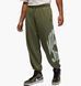 Фотографія Брюки чоловічі Jordan Brooklyn Olive (HV0091-222) 1 з 8 в Ideal Sport