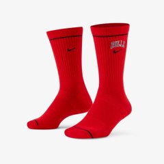 Шкарпетки Nike Chicago Bulls Courtside Nba Crew Socks . (DJ3737-657), 42-46, WHS