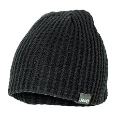 Шапка Jeep Reversible Tricot Hat (O102597-B964), One Size, WHS, 1-2 дні