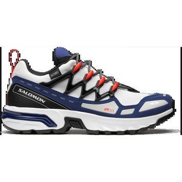 Кроссовки унисекс Salomon Acs + Climasalomon&trade; Waterproof (L47307700), 41.5, WHS, 1-2 дня