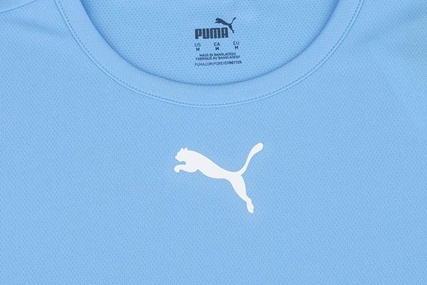Футболка мужская Puma Teamrise Jersey (704932-18), L, WHS, < 10%, 1-2 дня