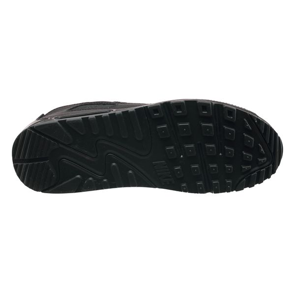 Кросівки чоловічі Nike Air Max 90 (CZ5594-001), 44, OFC, 20% - 30%, 1-2 дні