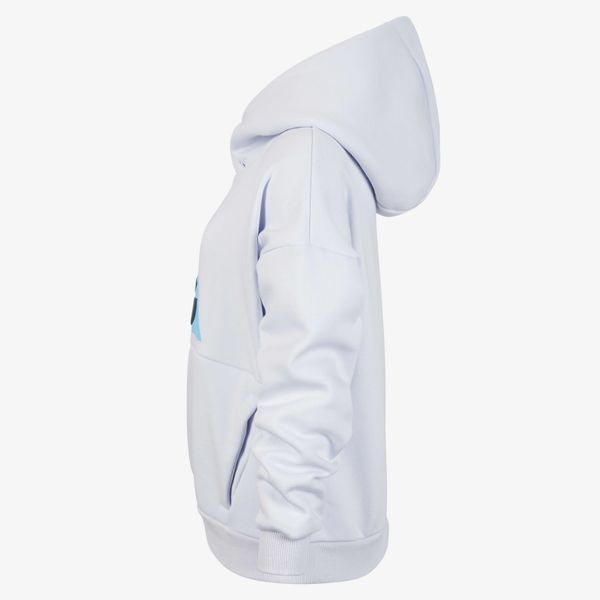Кофта подростковые Nike Acg Icon Fleece (FB4343-085), M, WHS, > 50%, 1-2 дня