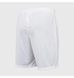 Фотографія Шорти чоловічі Nike Park Iii M (BV6855-104) 2 з 2 в Ideal Sport