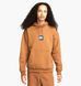 Фотография Кофта мужская Nike Sb Brown (DV8839-270) 1 из 9 в Ideal Sport