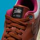 Фотографія Кросівки чоловічі Nike Air Max 1 Patta (DO9549-200) 9 з 9 в Ideal Sport