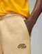 Фотографія Спортивний костюм чоловічий Nike Flight Mvp Fleece (DQ8037-252__DQ8100-252) 8 з 8 в Ideal Sport