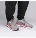 Фотографія Кросівки чоловічі Nike P-6000 Flat Silver/Red (CD6404-001) 2 з 5 в Ideal Sport